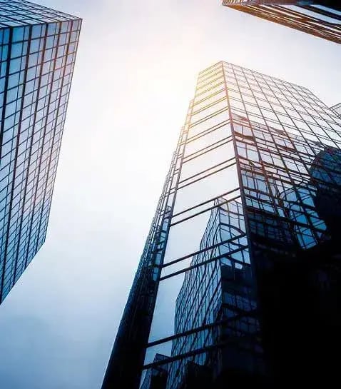 The Story of Small Business Network