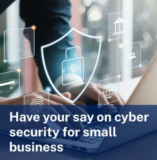 Have Your Say: Cyber Security Support for Small Business